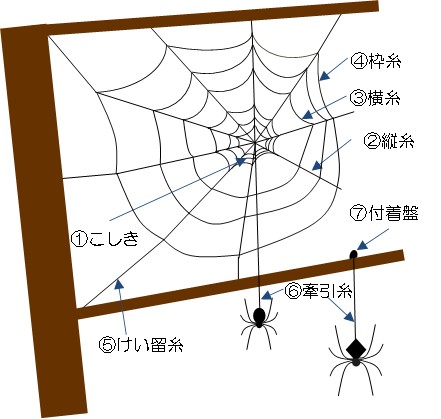 【季報vol.10】クモの糸.jpg